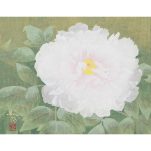アンドレ・ドラン、花、希少画集画、新品高級額、額装付 カタログ詳細｜SBIアートオークション